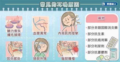 頭轉動耳朵有聲音|【耳鳴】一文看清耳鳴的原因、治療及解決方法